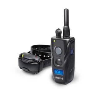 DogTra Remote Training System